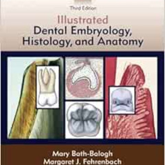 [Free] EPUB 📮 Student Workbook for Illustrated Dental Embryology, Histology and Anat