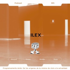 Ilex - Sound Gallery 015
