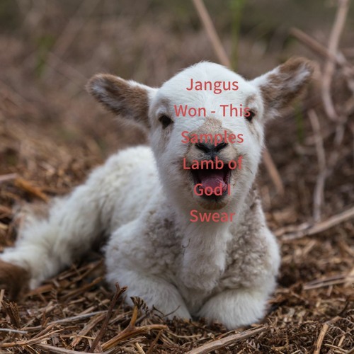 Jangus Won - This Samples Lamb of God I Swear
