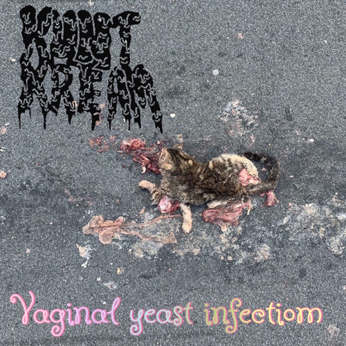 Vaginal Yeast Infection