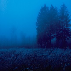 fallen