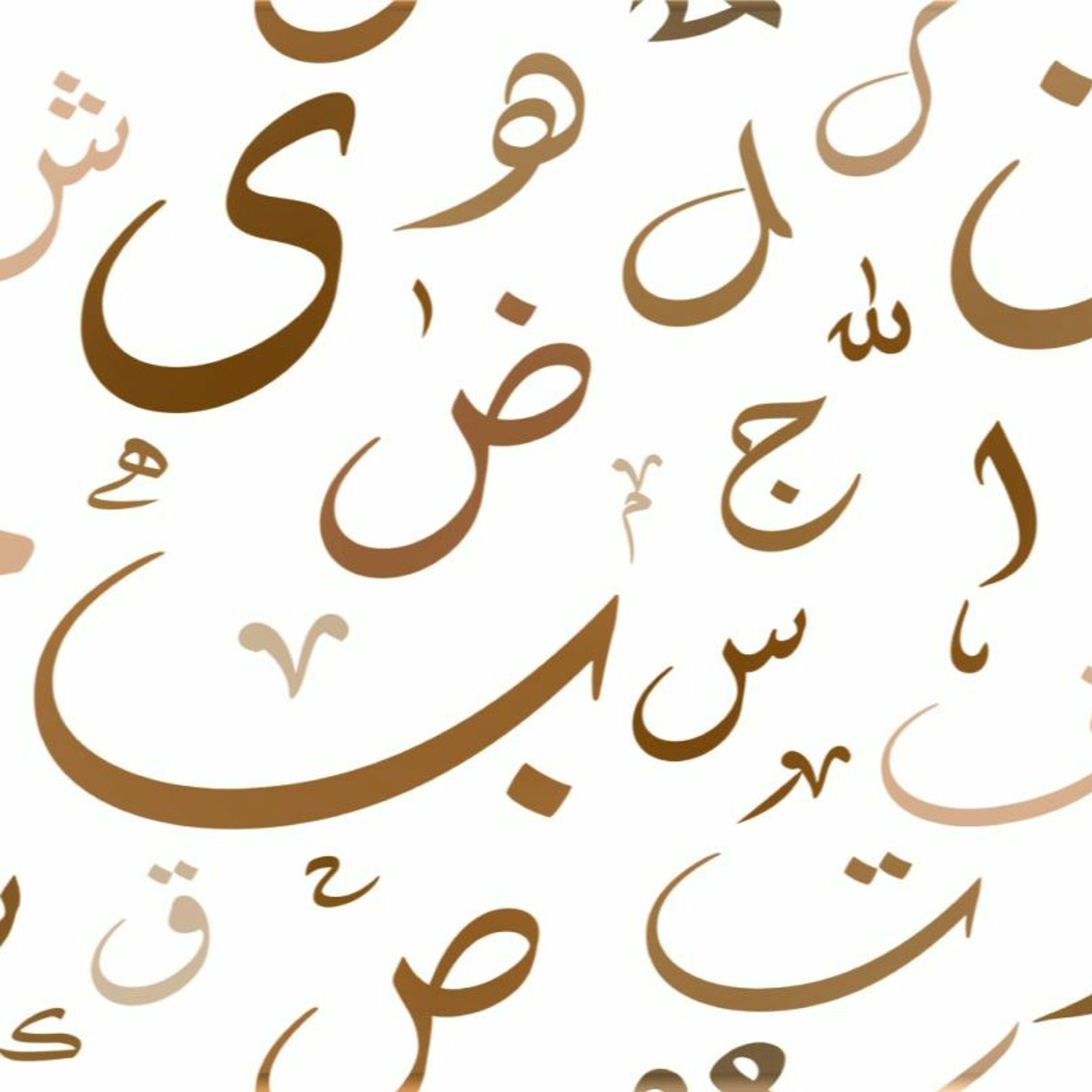أهميّة اللغة العربية وفضلها، والتحذير من تضييعها - معنى الاستواء episode artwork
