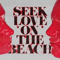 Alok - seek love (DJ Francois 2024 remix)