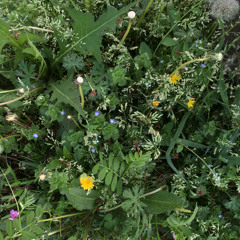 모두 다 꽃이야/ 류형선