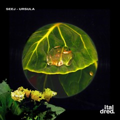 Exclusive Download: Seej - Ursula