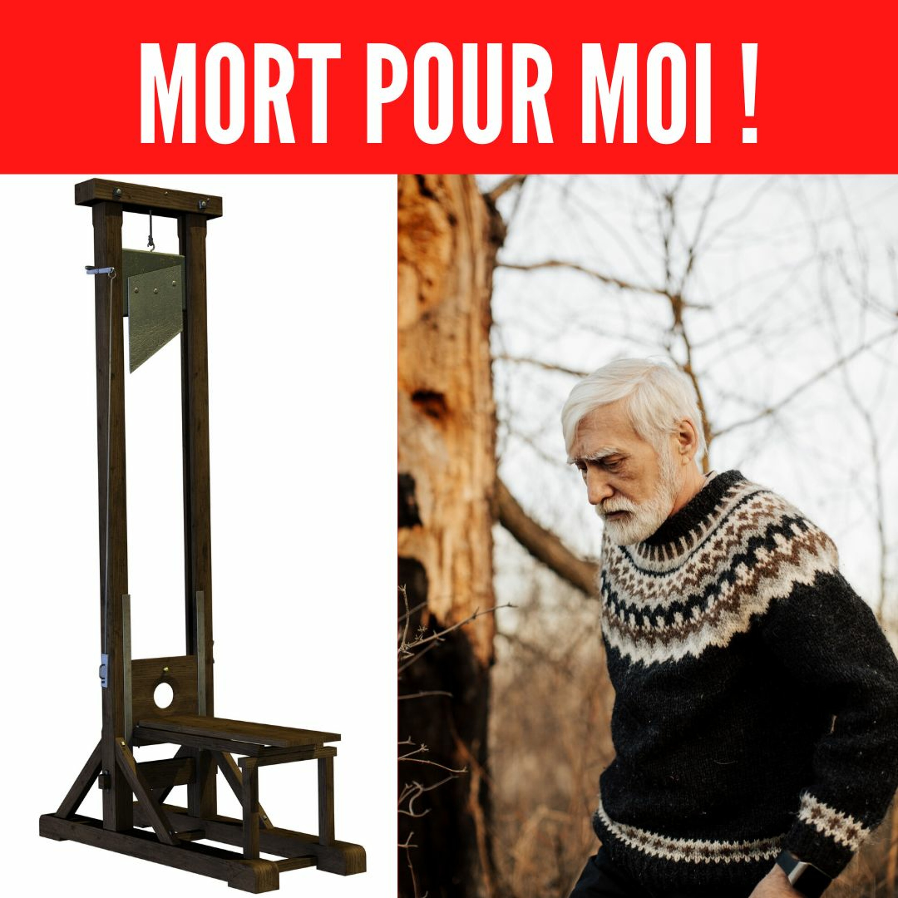 365Histoires