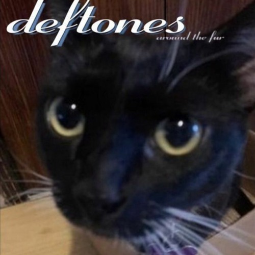 Stream alkwvl Listen to Deftones playlist playlist online for free on