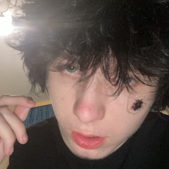 lovefool