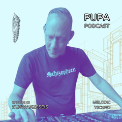 PUPA Podcast E03 - SchwarzesEis (DE/VN)