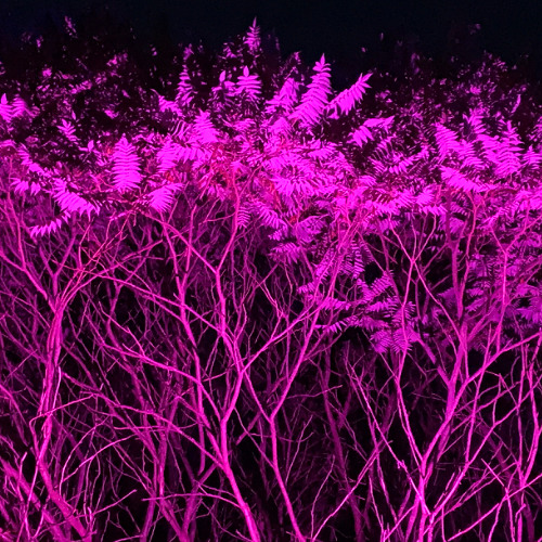 #3 Cosmic Vibration - on Helloween