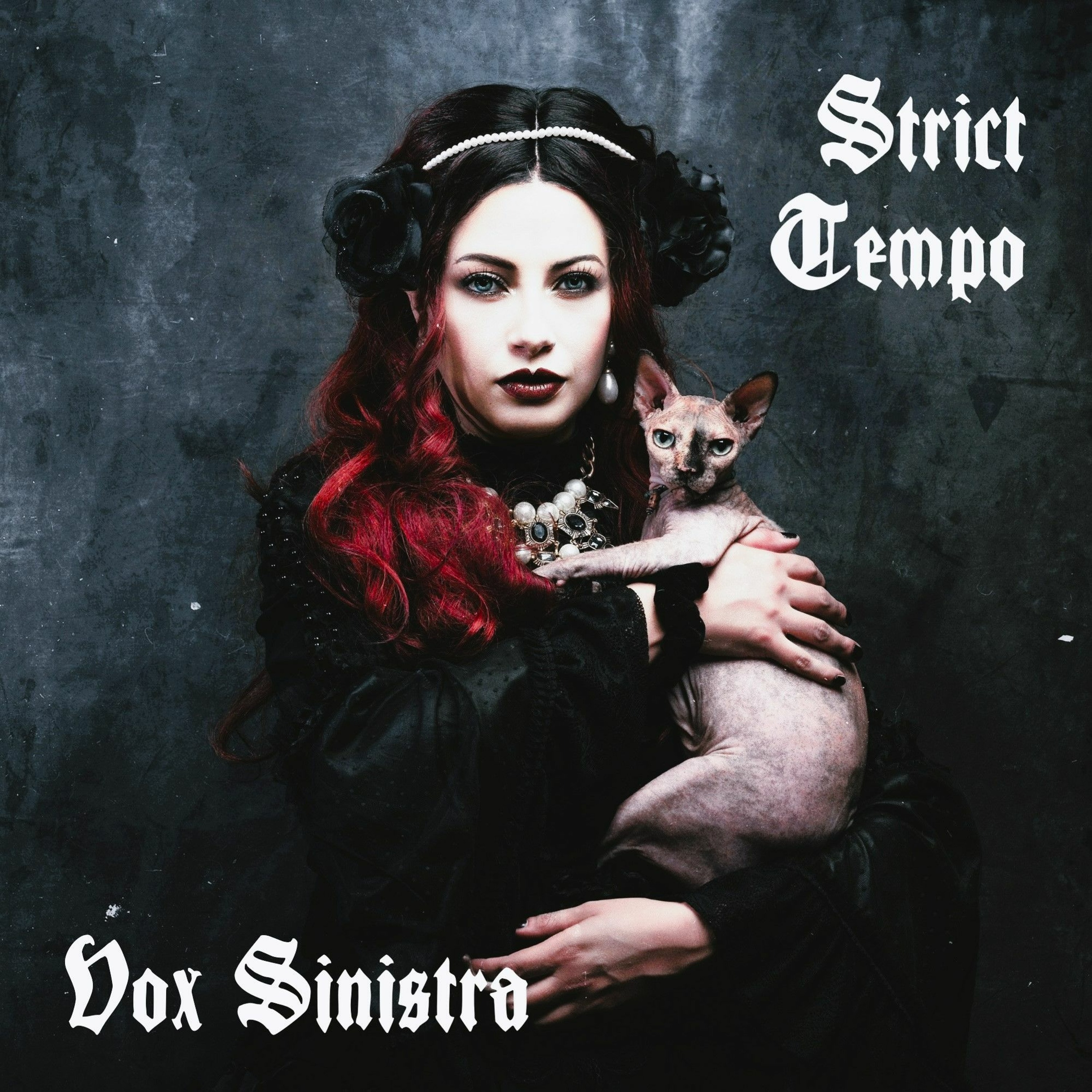 Strict Tempo - Black Cat Friday 11.24.2023  (Darkwave, Dark Dance) (Live @ Underbelly) episode artwork