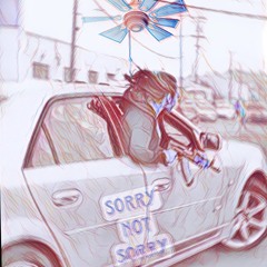 SorryNotSorry.m4a