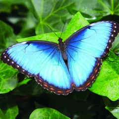 BeST DAY eVeR ☔️ -  CHiNK MONeY