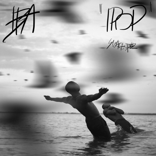 IPOP : SURRENDER