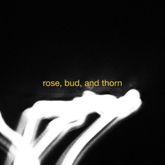 Rose, Bud, and Thorn