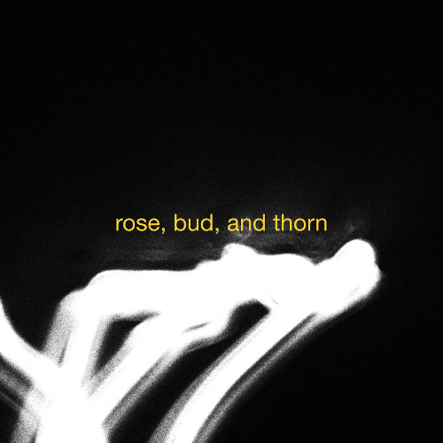 Rose, Bud, and Thorn