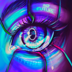 NO FUTURE