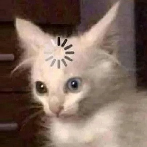 braincell loading...please hold
