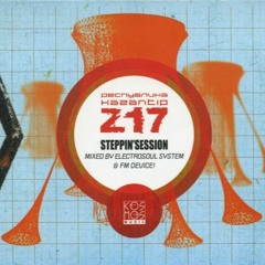 Electrosoul System & FM Device - KaZantip Republic Z17: STEPPIN'SESSION