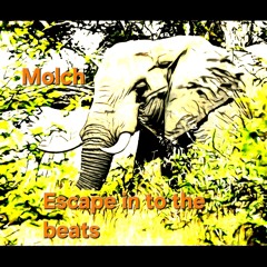 Molch-Escape in to the beats