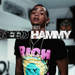 Bris - Need Hammy [STeeZY Tracks Exclusive]