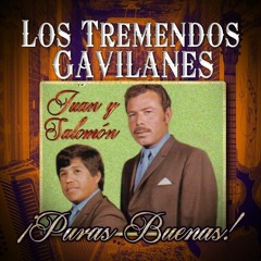 Los Tremendos Gavilanes - Quiero Que Sepas
