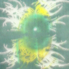 PARASOCIALIZED