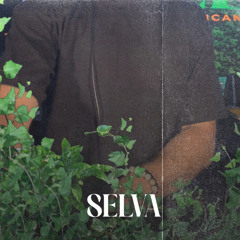 3 Hs Warm Up Afro Brazilian & Latin Vibes - Selva Restaurant - Washington D.C