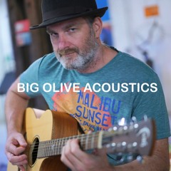 Big Olive feat Veronique Gayot & Paul Van Dijk - Follow Your Star