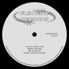 Various Artist - Flextone Records Vol.001