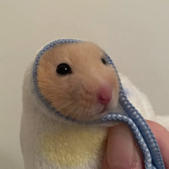 [COVER] tinnitus (wanna be a rock) - TXT