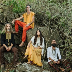 Liveset  at Ozora 2024 Dragonest