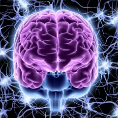 Brainjacked