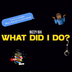 What Did I Do?