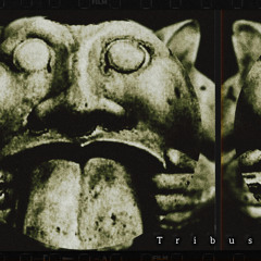 Robot Tribe