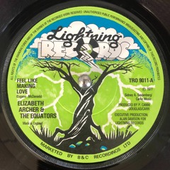 Magnificent 7s - Shelf 1