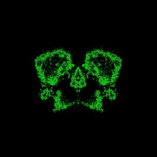 Stuff I Made Over The Years...