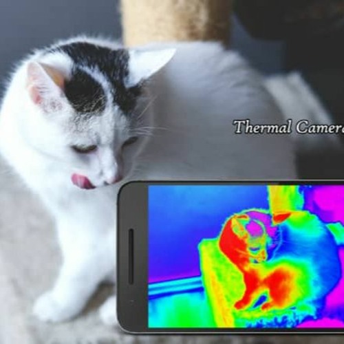 Best Infrared Camera Applications