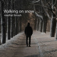 Walking On Snow - Medhat Fotouh