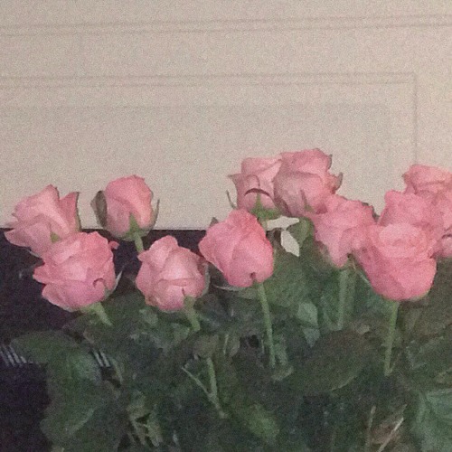 hate optimists w/ нестор - антидепресант[prod. bankihoi]
