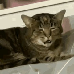 (acid hardcore)