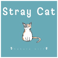 Stray Cat (Royalty Free Music / Free Download)
