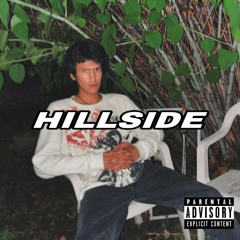 HILLSIDE (Demo)