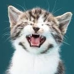 Die überleben werden ... (M+T:KR 2025)