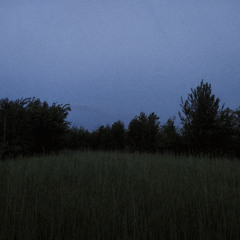 held in silence (slowed + reverb)