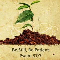 be still