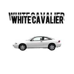 WHITE CAVALIER