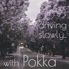 driving slowly.. with Pokka