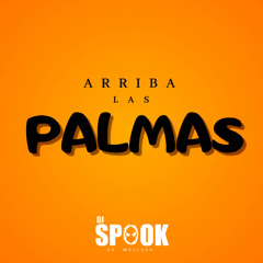DJ SPOOK  - Arriba Las Palmas  ( EXTENDED )
