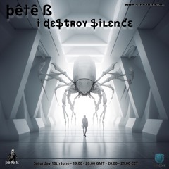 Pete B - I Destroy Silence June 2023